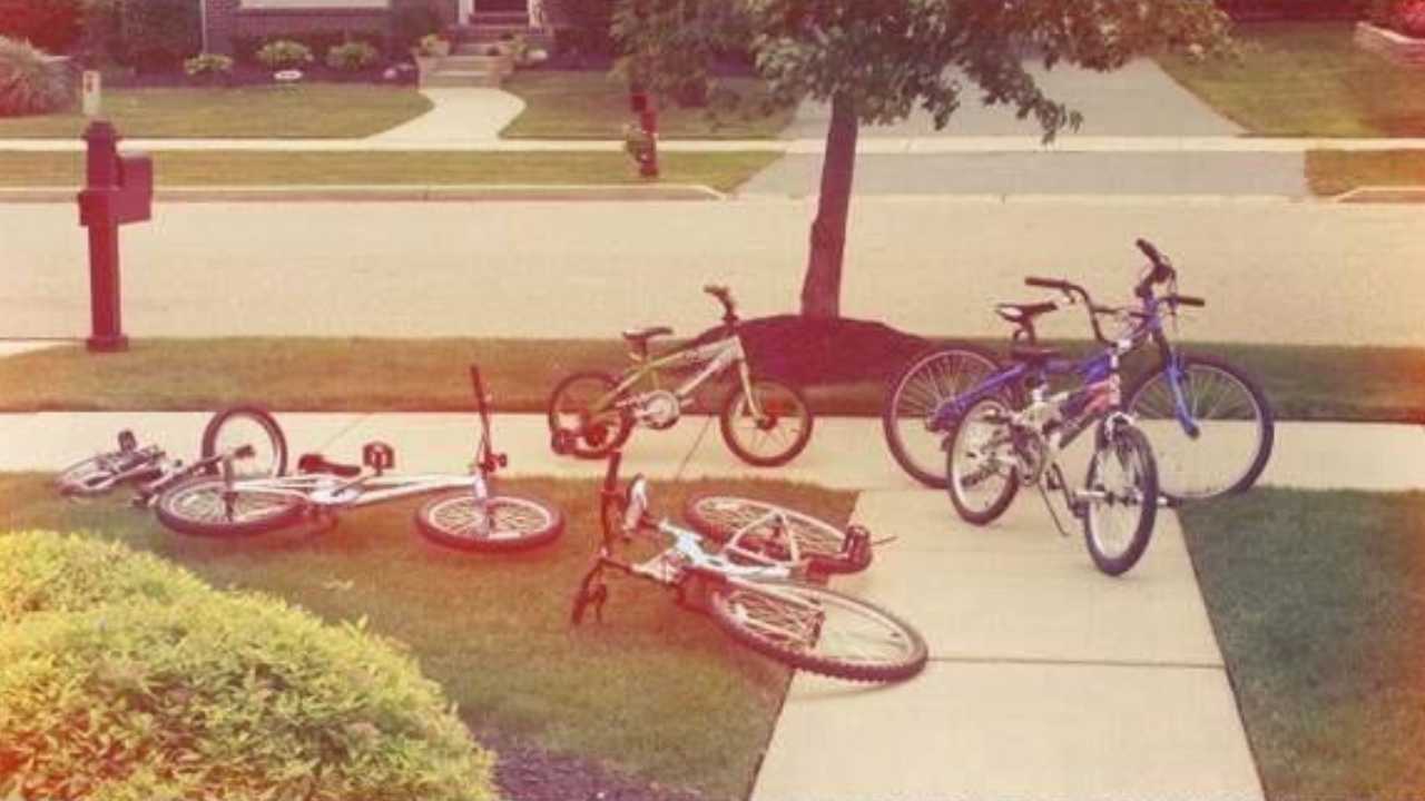 bicycles strewn on lawn